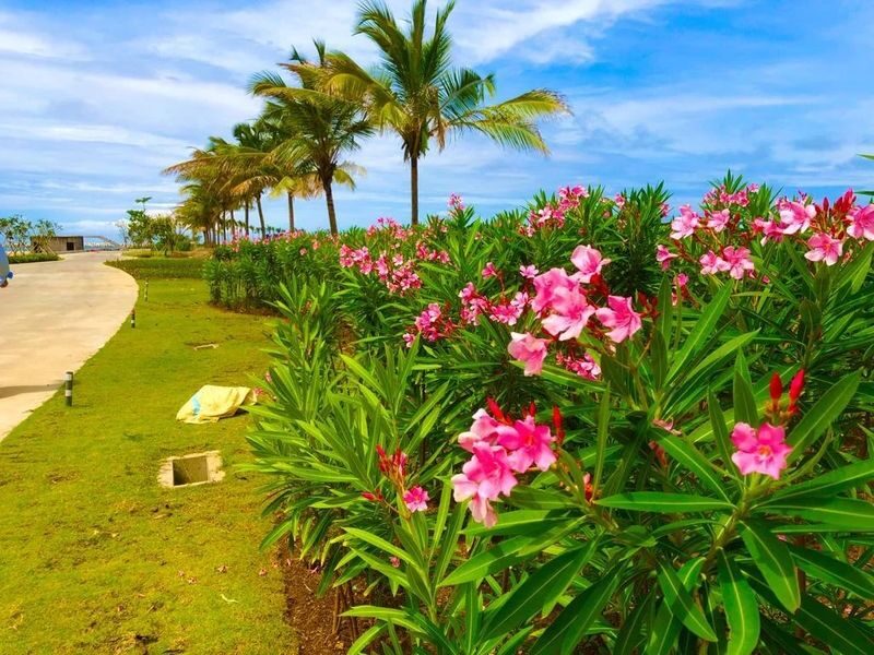 Colombo Half-Day Private Guided Tour - What the private format changes