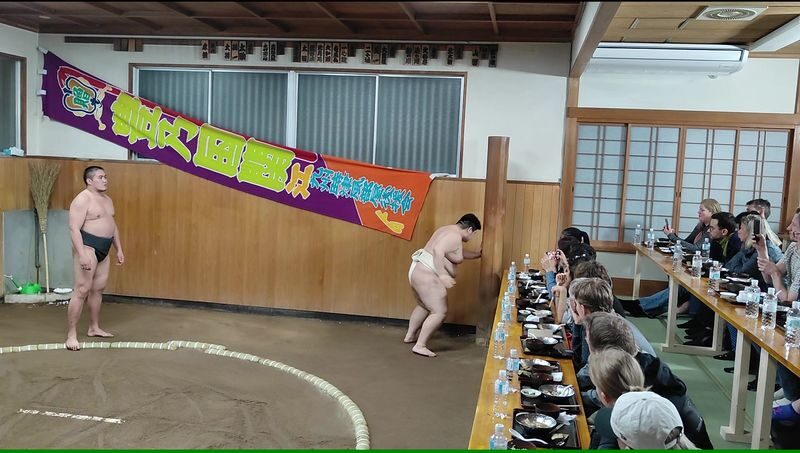 Complete sumo experience in Tokyo - A short introduction before the action