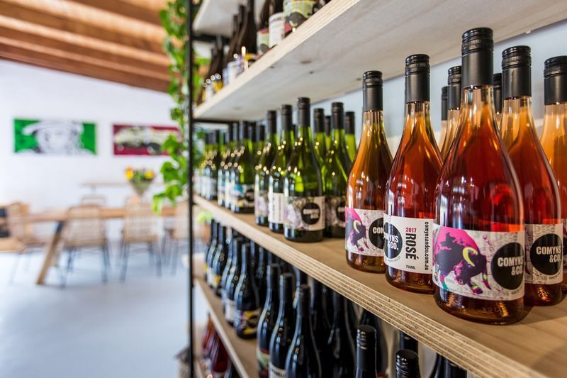 Comyns & Co Wine Tasting in Hunter Valley - What the 45-minute tasting includes