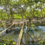 Con Son Tropical Island Tour in Can Tho - A fish farm and a flying-fish performance