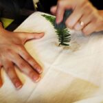 Concept X Plus: Botanical Imprints - A Journey of Serenity - Choosing your plants and fabric