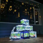 Concept X Plus - Mini Building Block Ecological Tan | Chai Wan - The lesson behind fish, plants, and snails