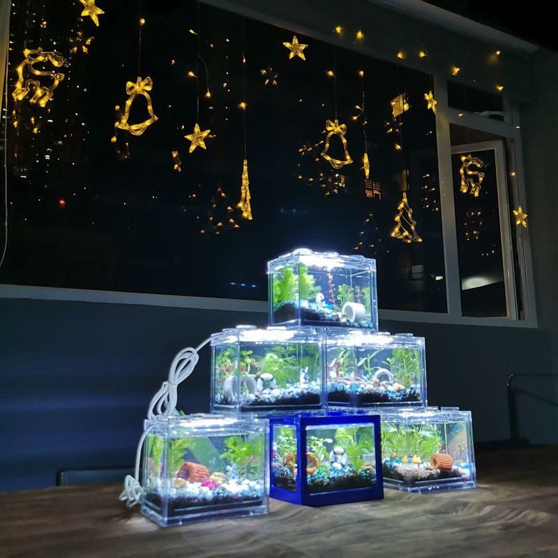 Concept X Plus - Mini Building Block Ecological Tan | Chai Wan - The lesson behind fish, plants, and snails