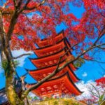 Contrasts of Japan end Tokyo 10-Day Tour by Europamundo - Tokyo’s temples, towers and Shinjuku evening