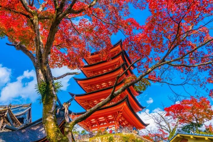 Contrasts of Japan end Tokyo 10-Day Tour by Europamundo - Tokyo’s temples, towers and Shinjuku evening