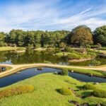 Contrasts of Japan end Tokyo by Europamundo - 10-Day Tour (2026-27 Departures) - Tokyo: temples, towers and a Shinjuku evening