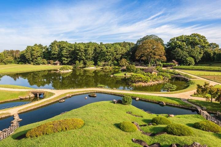 Contrasts of Japan end Tokyo by Europamundo - 10-Day Tour (2026-27 Departures) - Tokyo: temples, towers and a Shinjuku evening