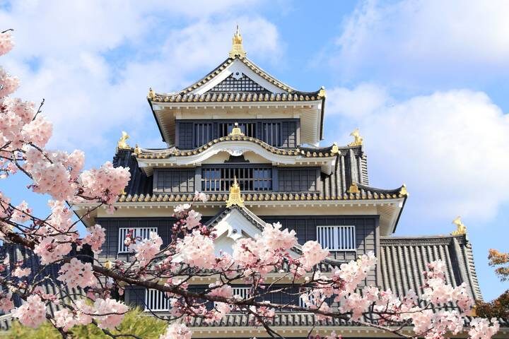 Contrasts of Japan GO by Europamundo - 9-Day Tokyo to Hiroshima Tour - Kawaguchiko: Fuji views, a lake boat and an onsen