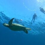 Coral and Sea Turtle Snorkeling - From Pushinushima shop to the water