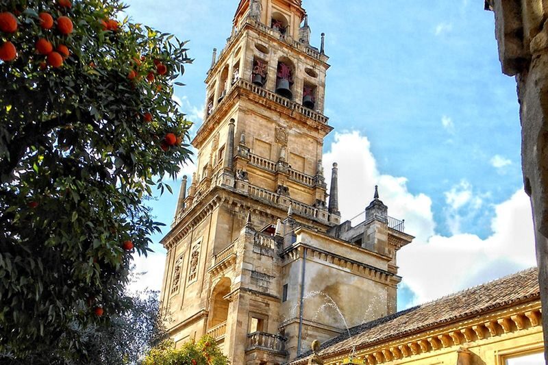 Cordoba and Mosque Cathedral Guided Tour from Seville - At the Mosque-Cathedral, Look Up and Look Closely