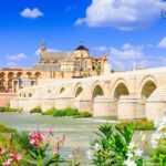 Cordoba Mosque-Cathedral, Alcazar and Synagogue Tour - The Mosque-Cathedral’s forest of arches