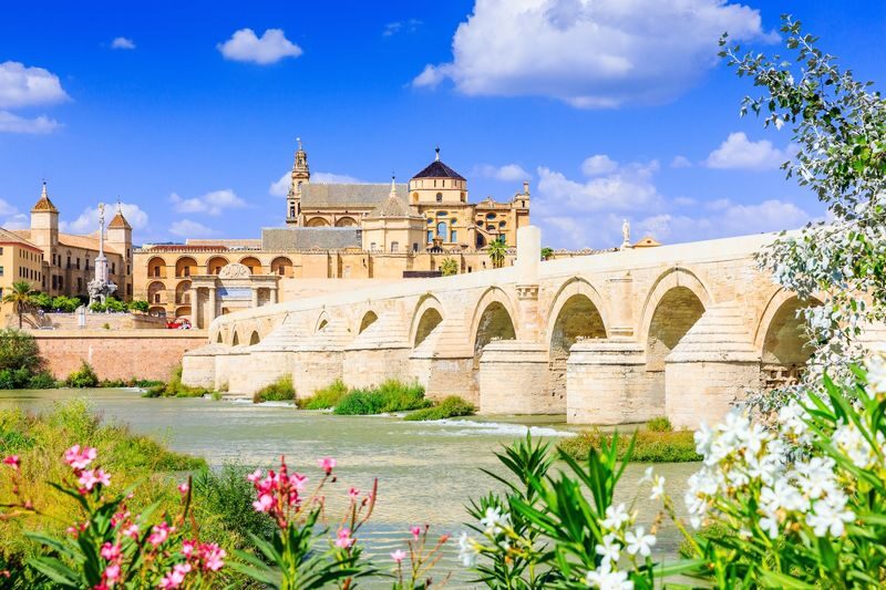 Cordoba Mosque-Cathedral, Alcazar and Synagogue Tour - The Mosque-Cathedral’s forest of arches