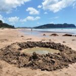 Coromandel Peninsula & Cathedral Cove - Scenic Day Trip from Auckland - The drive from Auckland is a real part of the day
