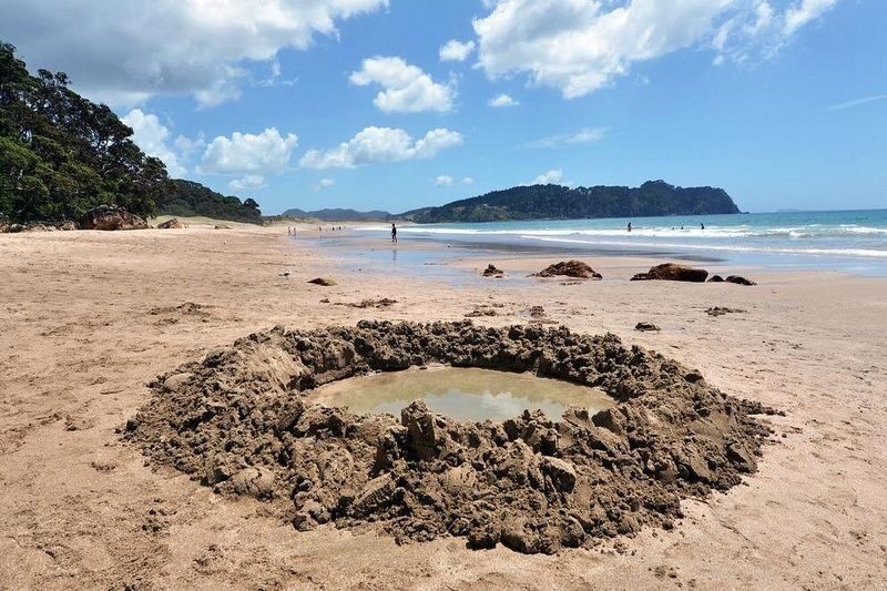 Coromandel Peninsula & Cathedral Cove - Scenic Day Trip from Auckland - The drive from Auckland is a real part of the day
