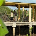 Country Side Biking Tour in Langkawi - Local guides turn stops into lessons