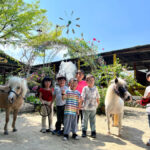 Countryside Stables Admission Ticket in Penang - What to expect from a horse ride