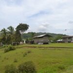 Countryside Village Walk and Cooking Tour at Kota Kinabalu - Orchard paths, rubber tapping and a bridge crossing