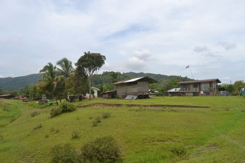 Countryside Village Walk and Cooking Tour at Kota Kinabalu - Orchard paths, rubber tapping and a bridge crossing