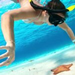 Cozumel Turtle Sanctuary Snorkeling and Coral Reef Experience - Turtle watching without disturbing the reef