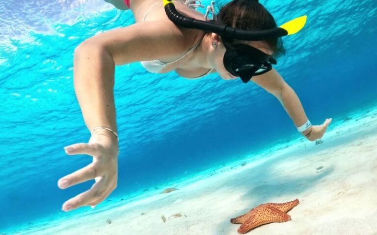 Cozumel Turtle Sanctuary Snorkeling and Coral Reef Experience - Turtle watching without disturbing the reef