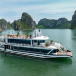 Cozy Bay Day Cruise: Ha Long Bay, Sung Sot, Ti Top - Boarding Cozy Bay Premium Cruise