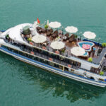 Cozy Olympus Day Cruise: Ha Long Bay, Sung Sot, Ti Top - Boarding at Tuan Chau Marina