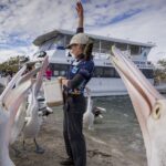 Crab Catching Adventure Cruise from Tweed Heads - What happens between 9:00 and 11:00
