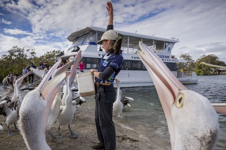 Crab Catching Adventure Cruise from Tweed Heads - What happens between 9:00 and 11:00