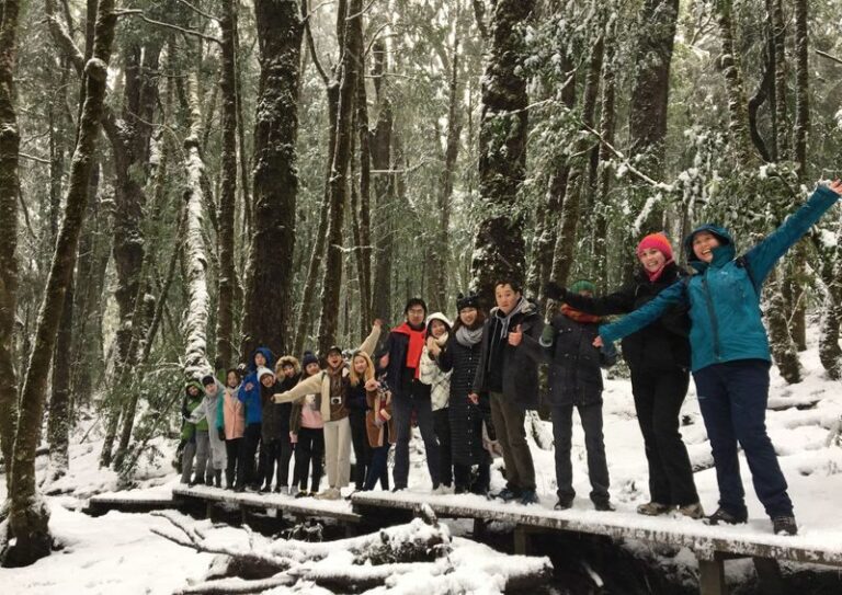 Cradle Mountain Explorer: Hobart to Launceston - Campbell Town: a useful pause