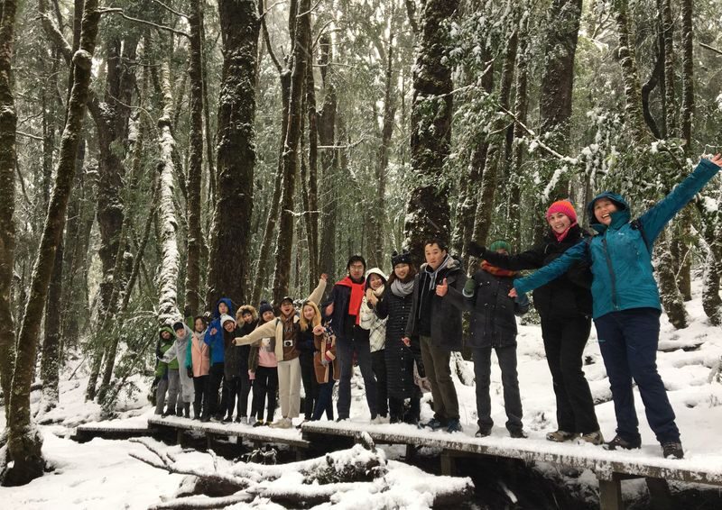 Cradle Mountain Explorer: Hobart to Launceston - Campbell Town: a useful pause