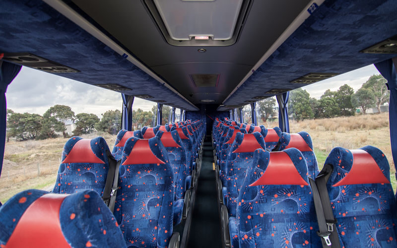 Cradle Mountain Fully Guided Day Tour Departing Launceston - Waldheim Chalet and Weindorfer’s Rainforest