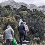 Cradle Mountain National Park Day Tour with Scenic Stops - What the scenic stops can and cannot tell you