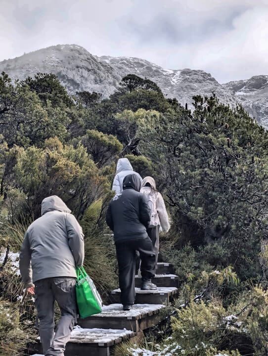Cradle Mountain National Park Day Tour with Scenic Stops - What the scenic stops can and cannot tell you