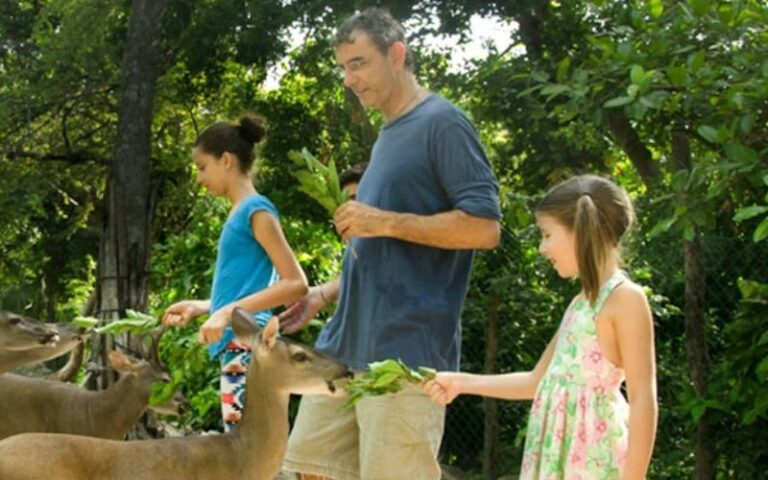 Croco Cun Zoo Ticket in Cancun - Spider-monkeys bring the mischief