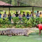 Crocodile Adventureland Langkawi Ticket - Walking the paths and spotting the largest adults