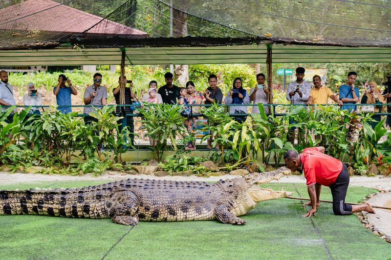 Crocodile Adventureland Langkawi Ticket - Walking the paths and spotting the largest adults