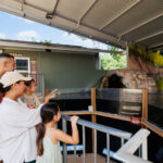 Crocosaurus Cove Ticket - Meet the Saltwater Crocodiles