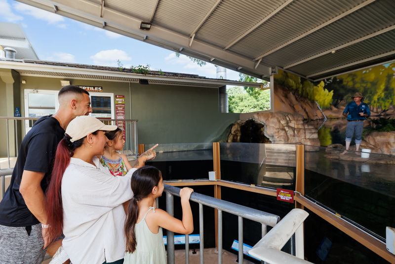 Crocosaurus Cove Ticket - Meet the Saltwater Crocodiles
