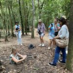 Custom Private Tour: Cu Chi Tunnels & Ho Chi Minh City Highlights with Vietnamese/Chinese/English-Speaking Driver - Choosing your Ho Chi Minh City stops