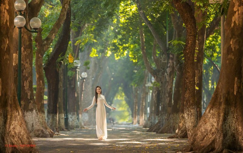 Custom Private Tour: Ha Noi Full-Day Tour with Vietnamese/English Speaking Driver - Making the 120 Kilometers Work