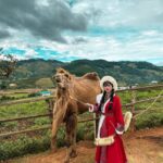 Da Lat Day Tour: Discovering New Tourist Attractions - Langbiang Land: slides, animals and strawberry picking