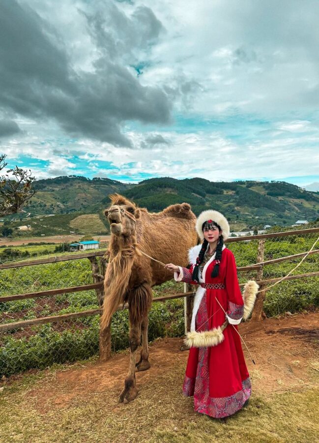 Da Lat Day Tour: Discovering New Tourist Attractions - Langbiang Land: slides, animals and strawberry picking