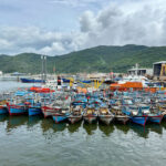 Da Nang Iconic Landmarks Half-Day Small Group Adventure - Dragon Bridge and Da Nang’s other landmarks