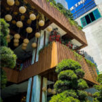 Da Nang Local Specialties & Dining Experience at Tran Restaurant - Quang noodles, cakes and the supporting cast