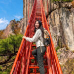 Daedunsan Autumn Foliage & Buyeo Baekje Heritage Day Tour from Seoul - Daedunsan’s cable car is only the start