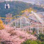 Daegu E-world Ticket - Rides for thrill seekers and younger visitors