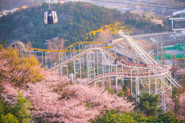 Daegu E-world Ticket - Rides for thrill seekers and younger visitors