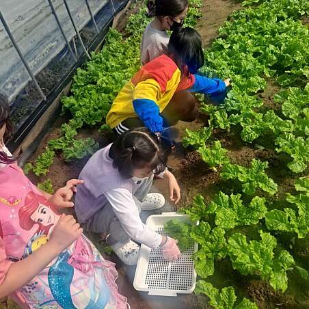 Daegu Korean Traditional Kimchi Making Class - A rural address, not a city-center stop