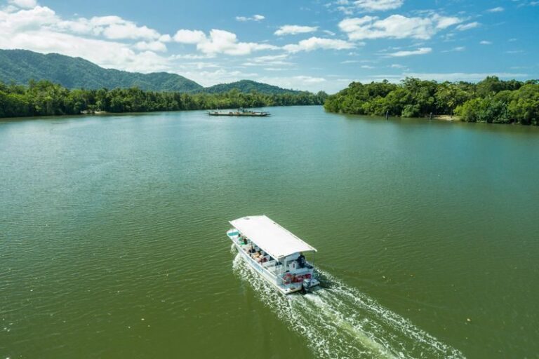 Daintree Rainforest & Cape Tribulation Full Day Tour - A lookout, then a guided rainforest walk