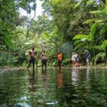 Daintree Rainforest Day Tour From Port Douglas - Mossman Gorge: the walk worth slowing down for